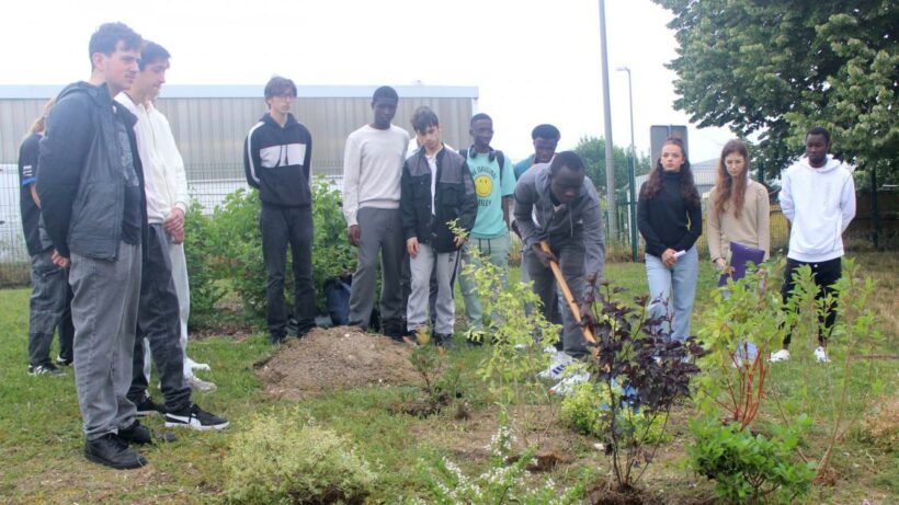 Les élèves en première année de CAP ébénisterie ont planté les arbustes du carré du souvenir.